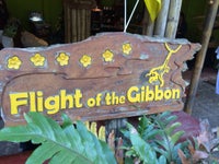 Flight Of The Gibbon