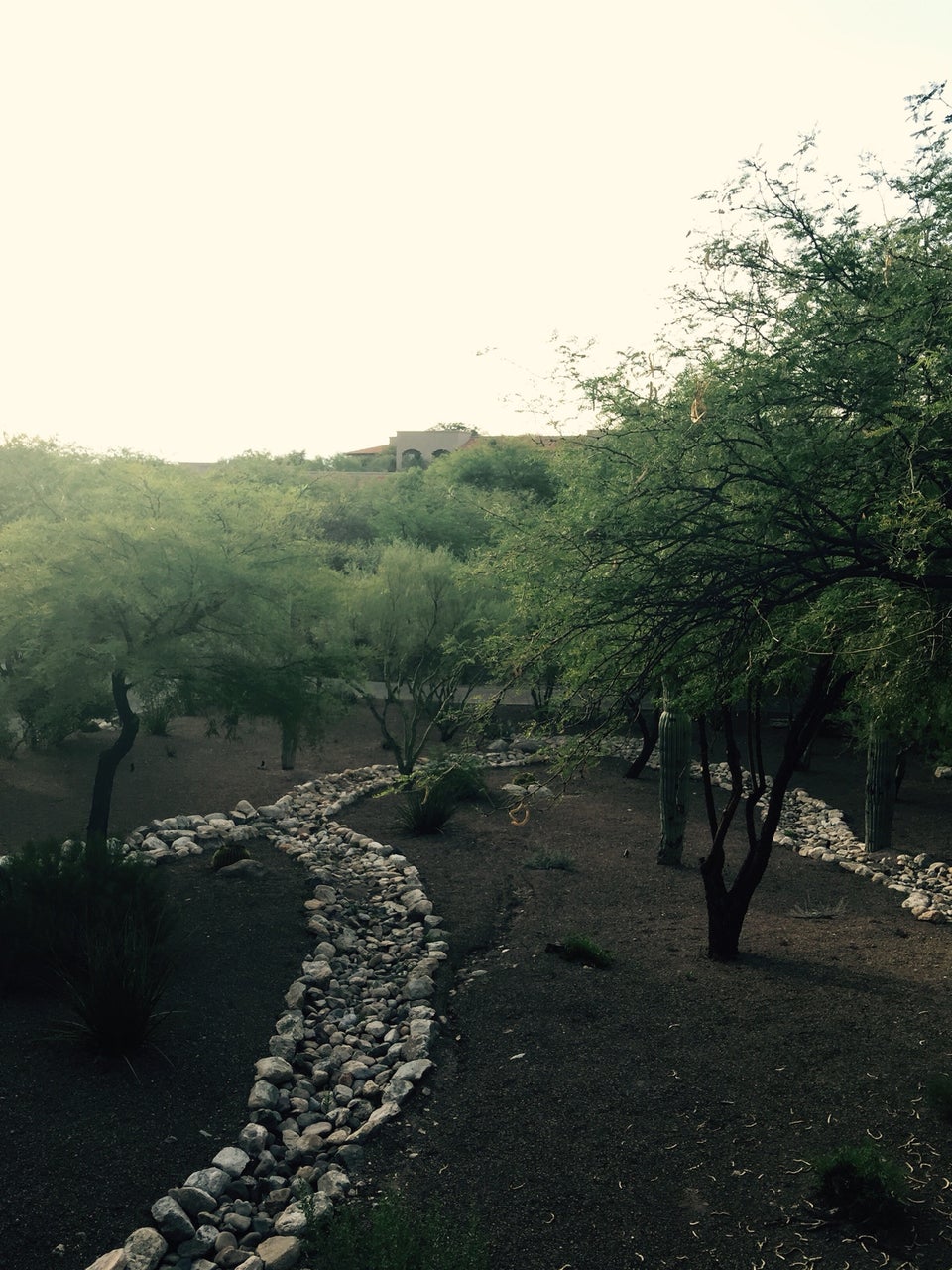 Photo of The Westin La Paloma Resort & Spa