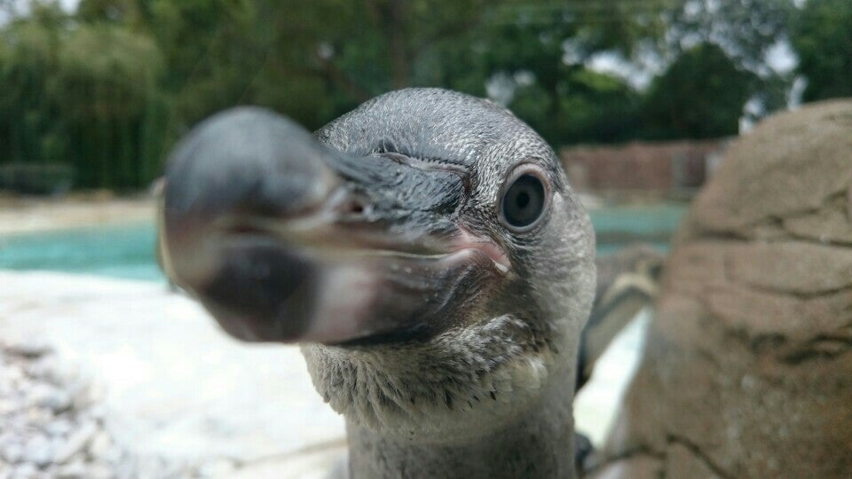 Photo of ZSL London Zoo