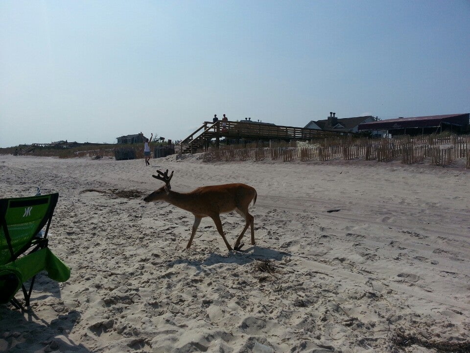 Photo of Cherry Grove Beach