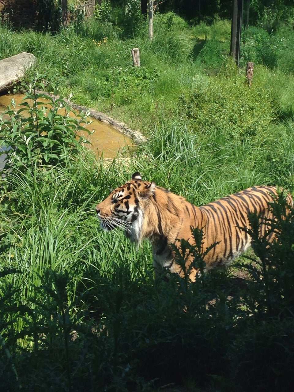 Photo of ZSL London Zoo