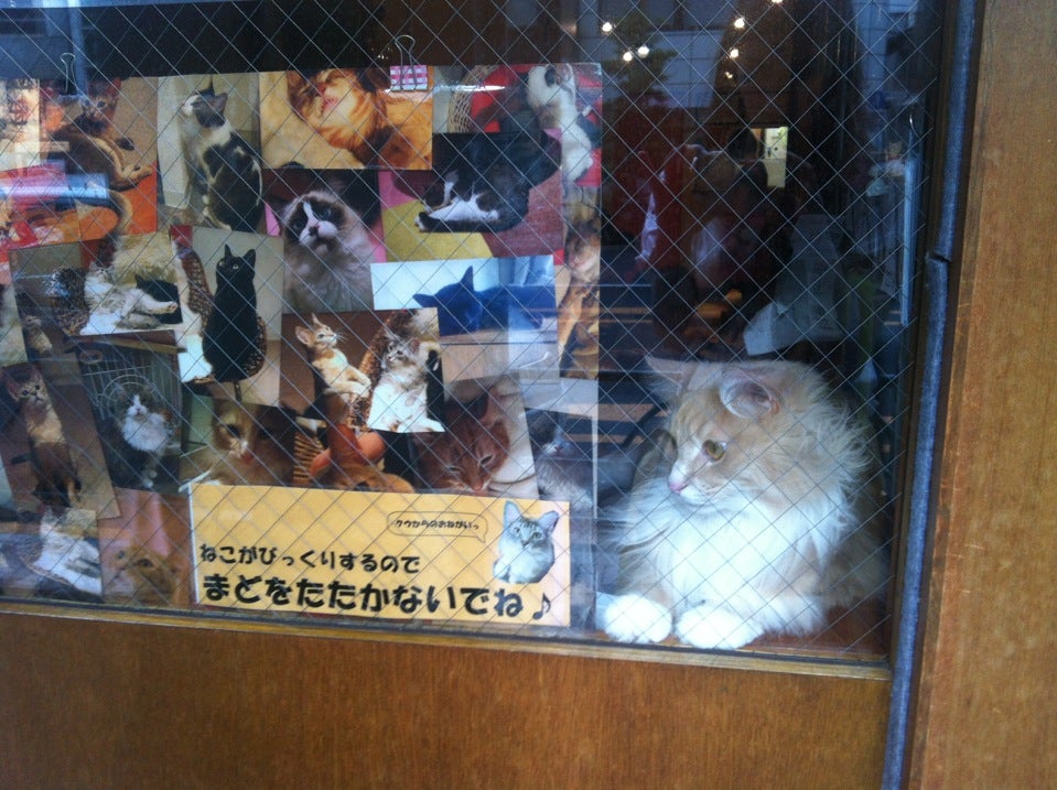 Neko JaLaLa