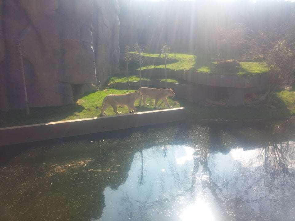 Photo of ZSL London Zoo