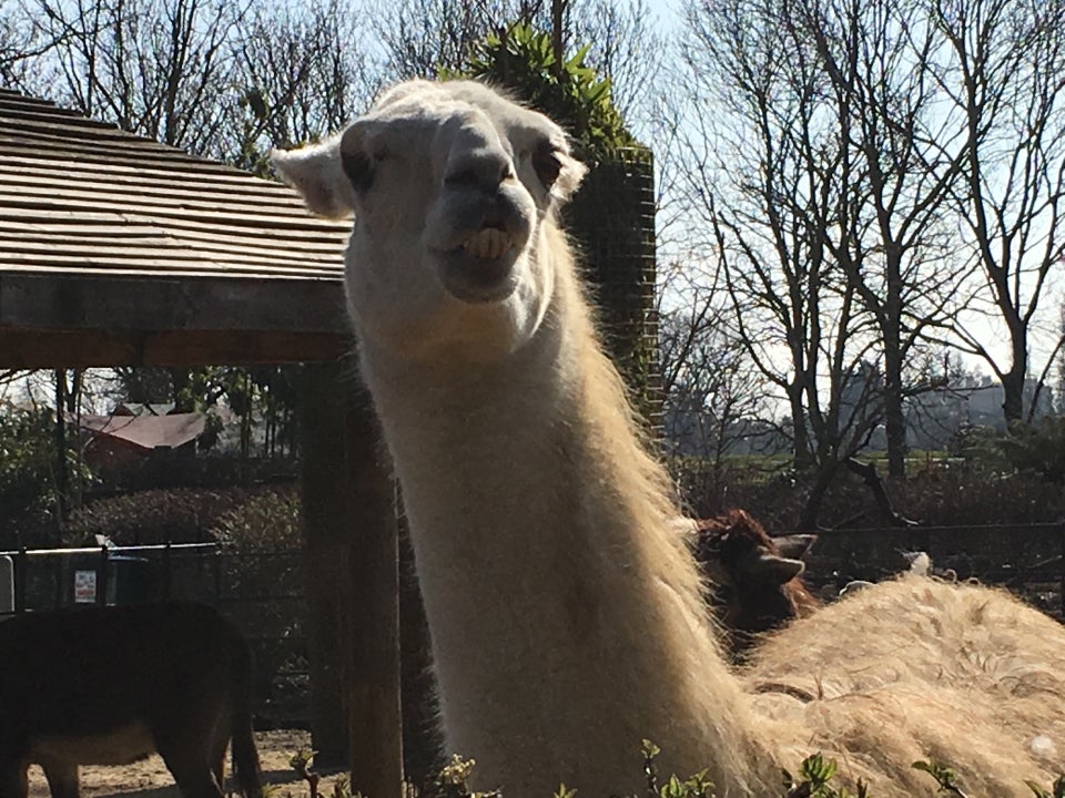 Photo of ZSL London Zoo