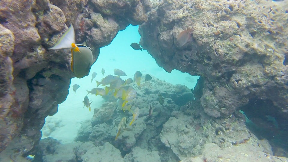 Photo of Hanauma Bay Nature Preserve