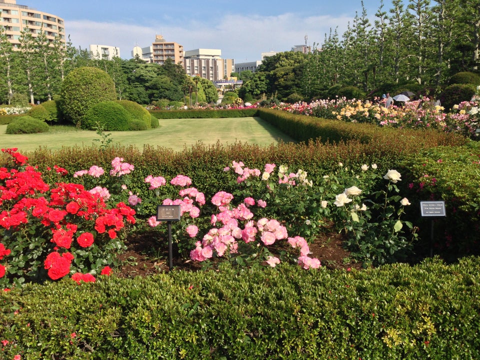 Shinjuku Gyoen