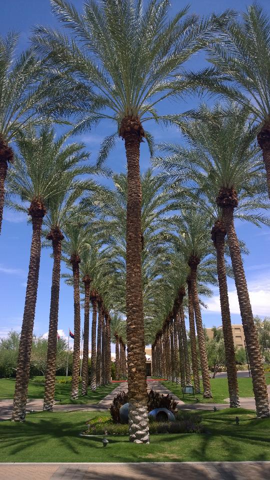 Photo of JW Marriott Desert Ridge Resort & Spa