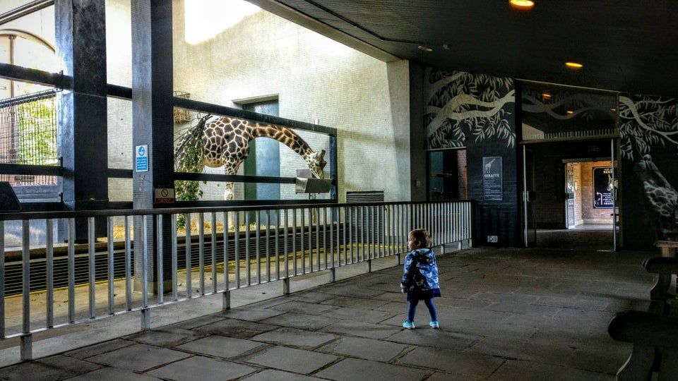 Photo of ZSL London Zoo