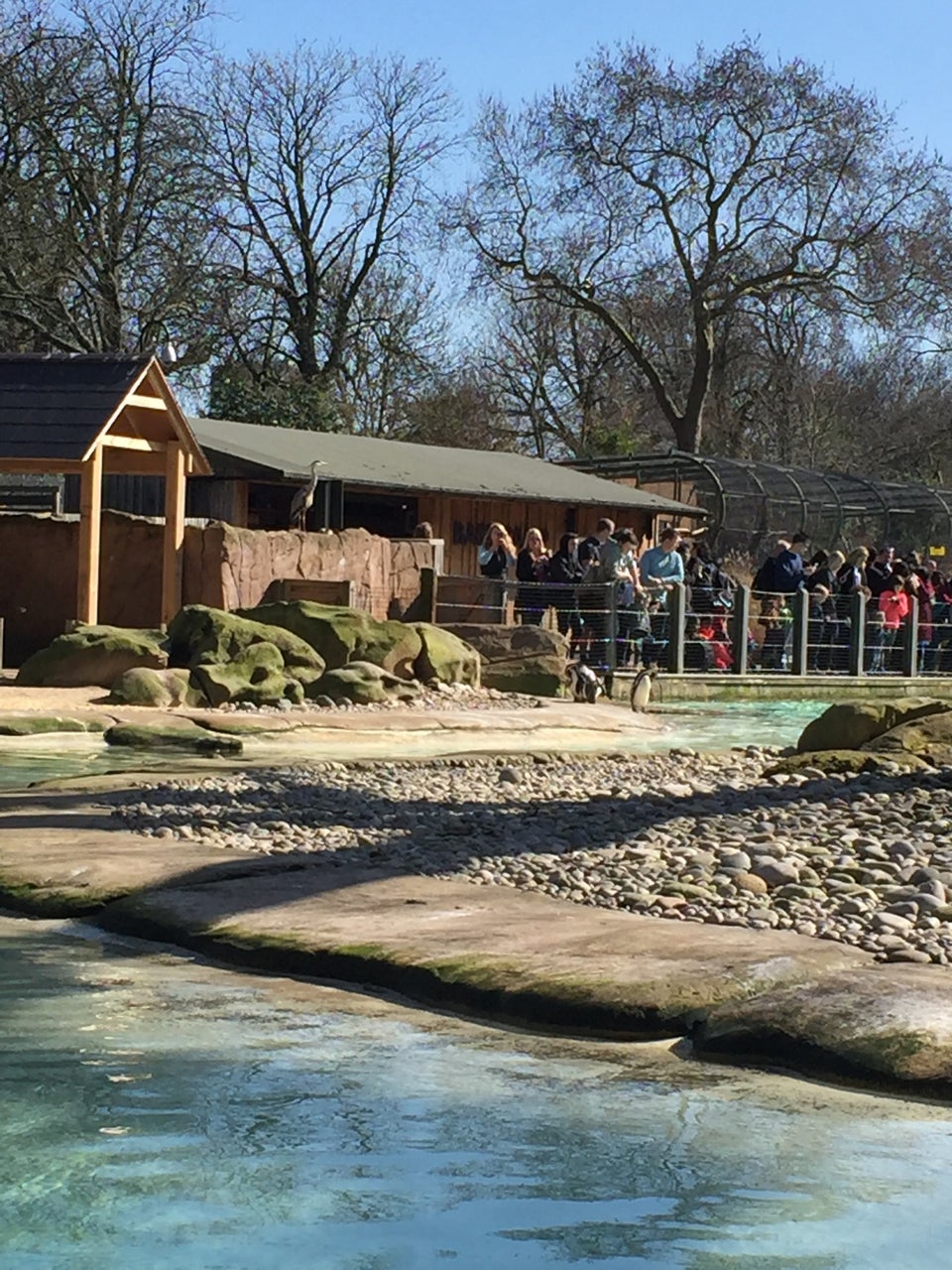 Photo of ZSL London Zoo