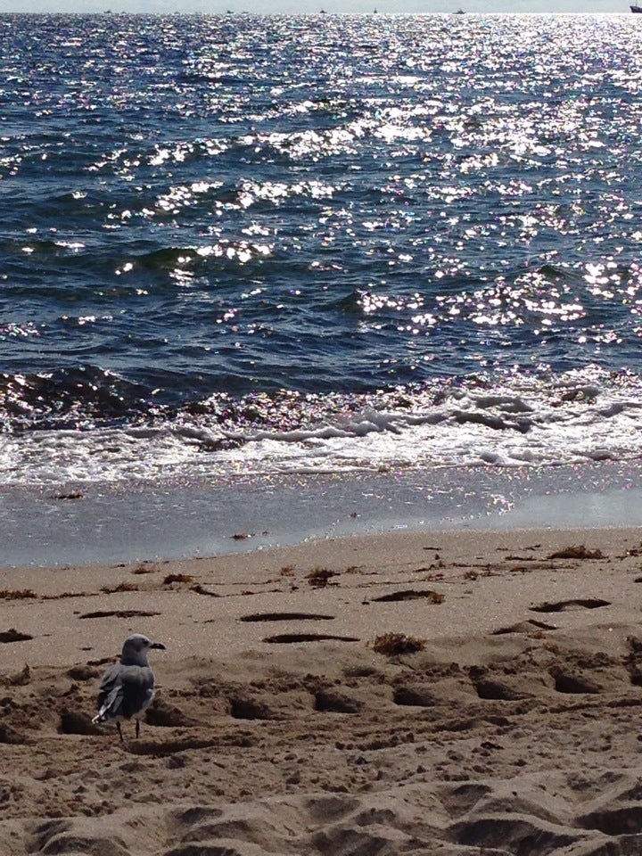 Photo of Sebastian Street Beach