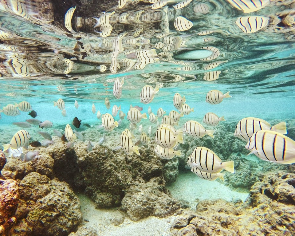 Photo of Hanauma Bay Nature Preserve