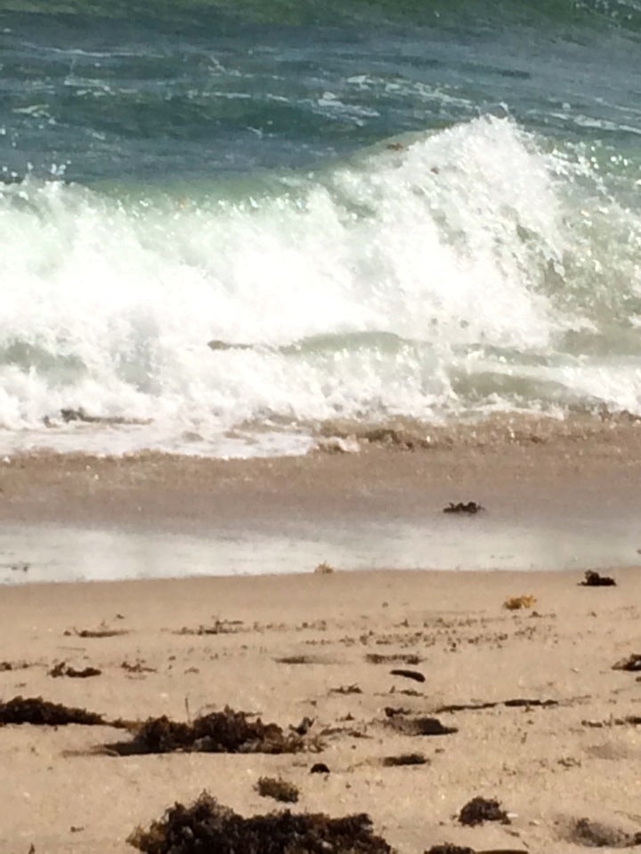 Photo of Sebastian Street Beach