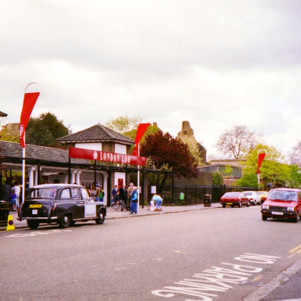 Photo of ZSL London Zoo