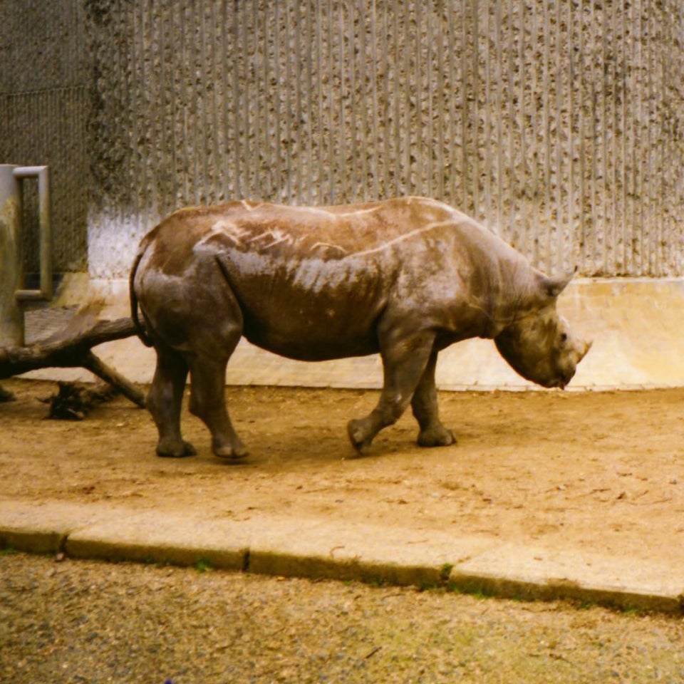 Photo of ZSL London Zoo