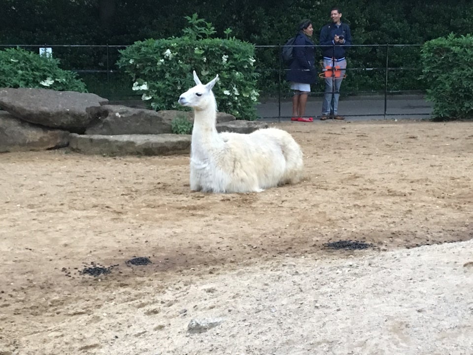 Photo of ZSL London Zoo