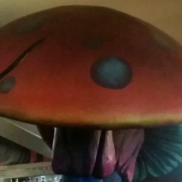 Photo of Mellow Mushroom