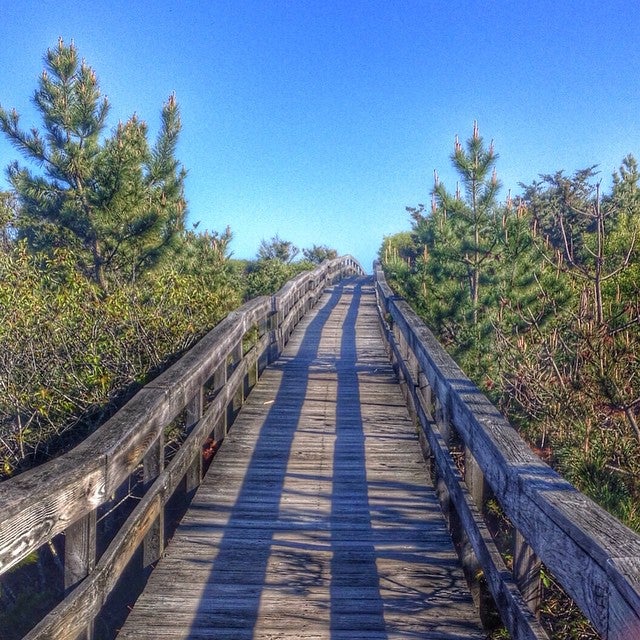 Photo of Cherry Grove Beach