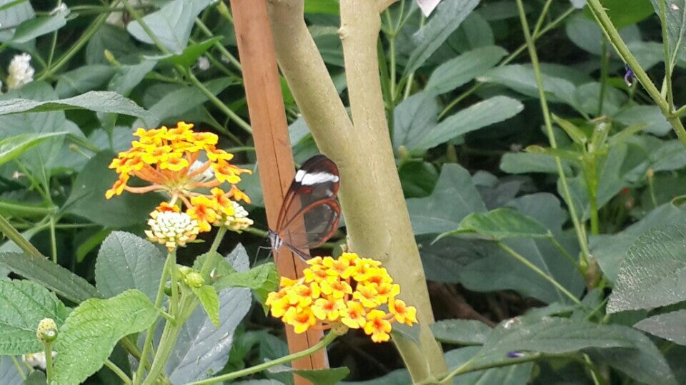 Photo of ZSL London Zoo