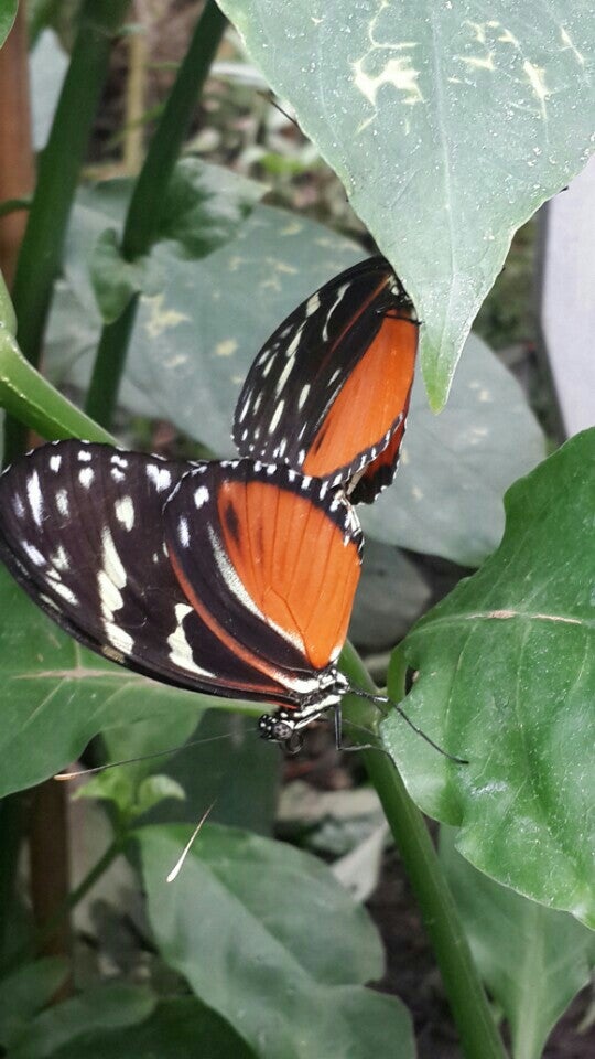 Photo of ZSL London Zoo