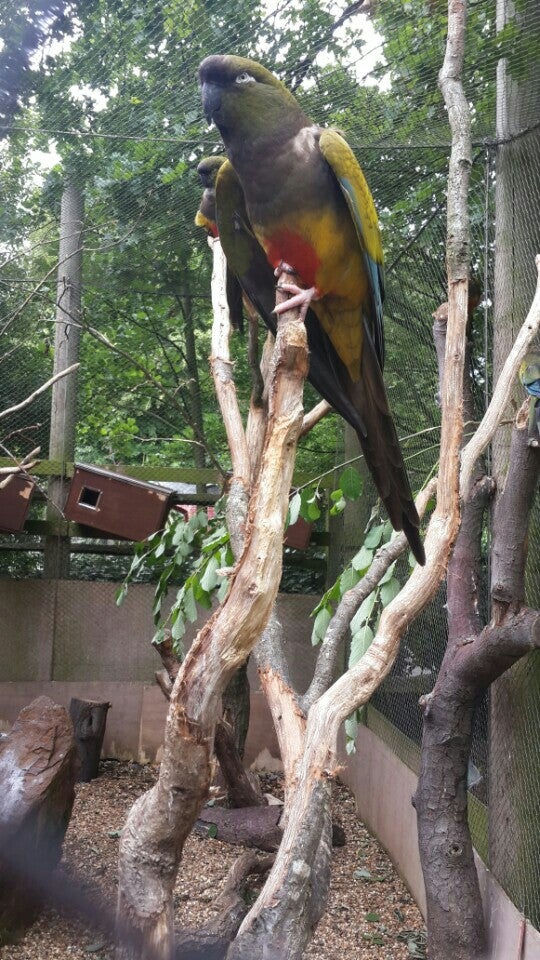 Photo of ZSL London Zoo