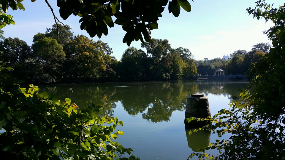 Photo of Piedmont Park