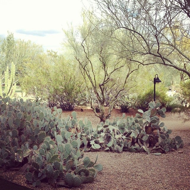 Photo of JW Marriott Desert Ridge Resort & Spa