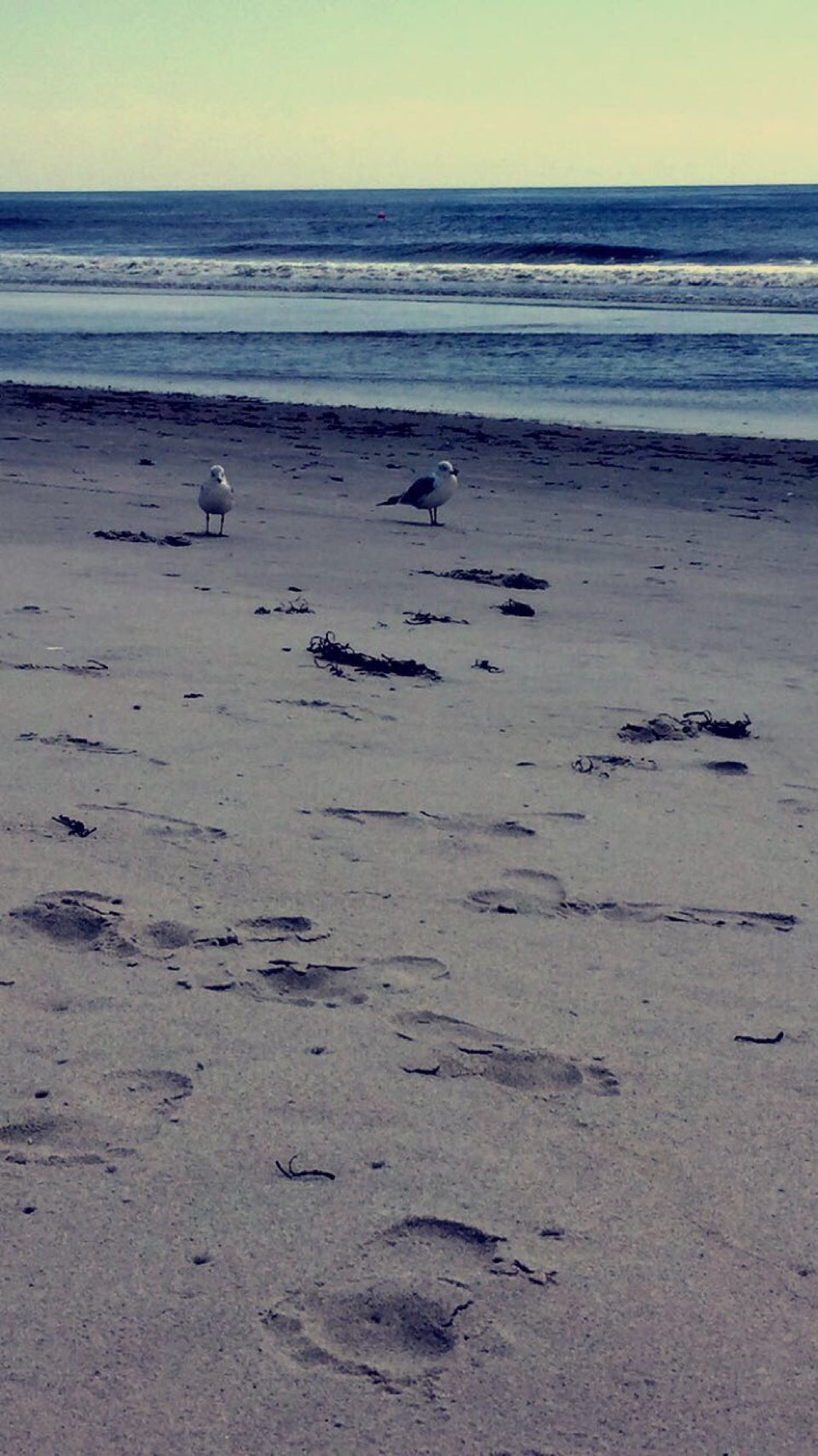 Photo of Jones Beach