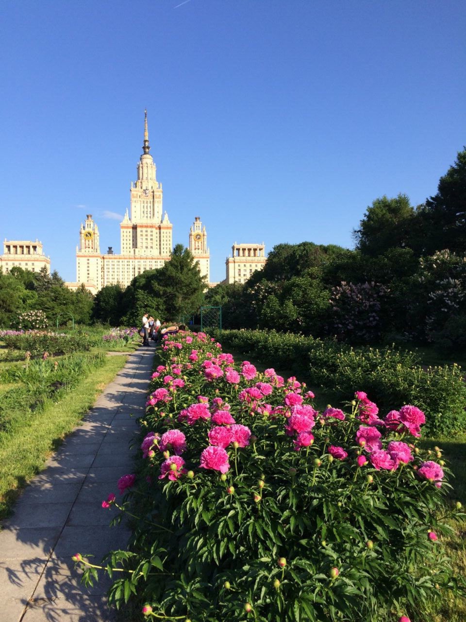 Ботанический сад мгу москва фото. Ботанический сад МГУ Москва. Ботанический сад МГУ Воробьевы горы. Ботанический сад МГУ им. Ломоносова м.в.. Ботанический сад МГУ на Ленинских горах.