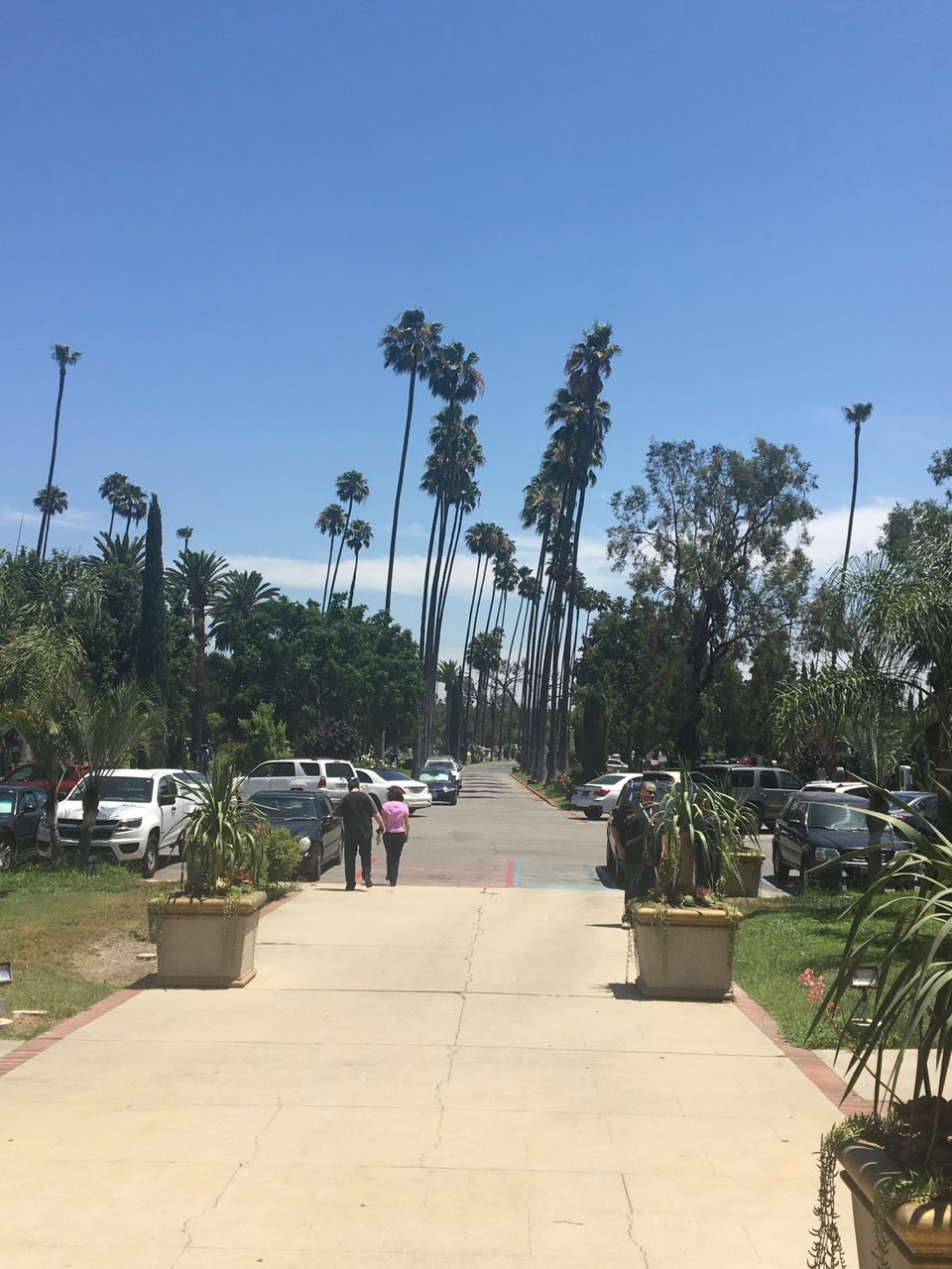 Photo of Hollywood Forever Cemetery