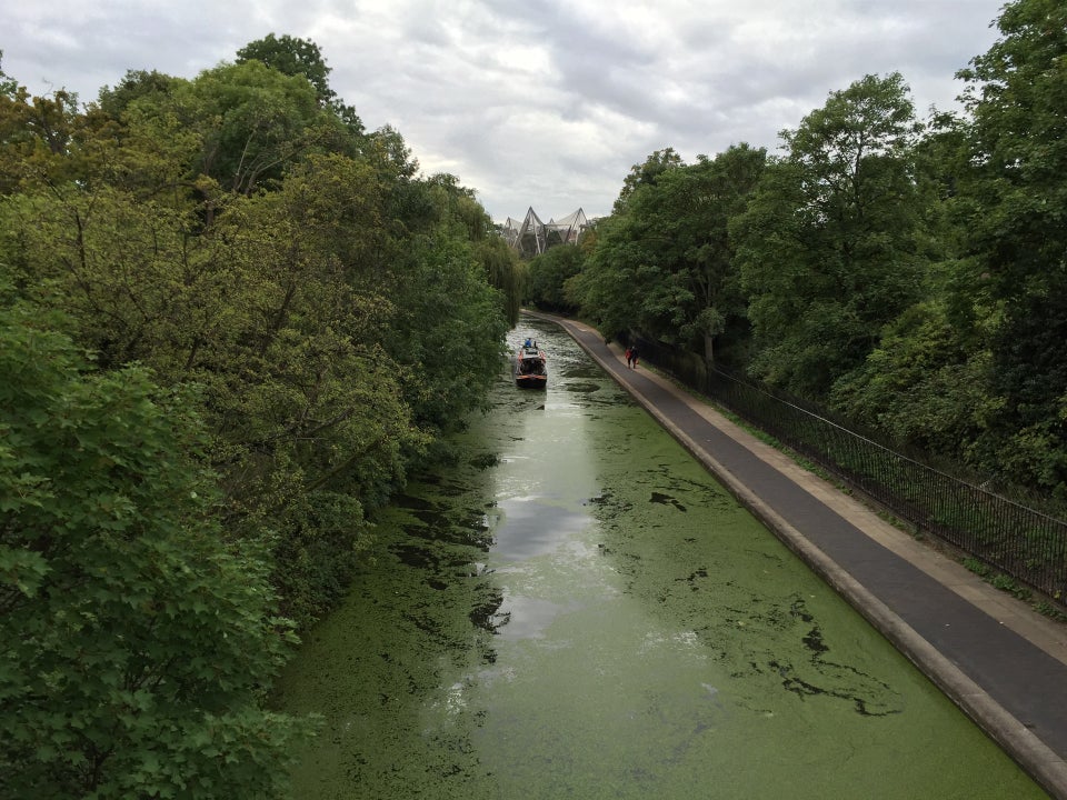 Photo of ZSL London Zoo