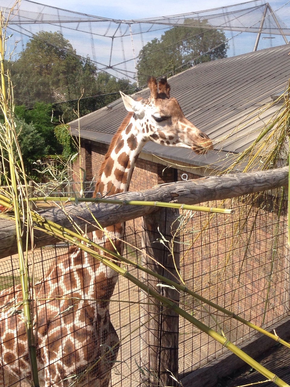 Photo of ZSL London Zoo