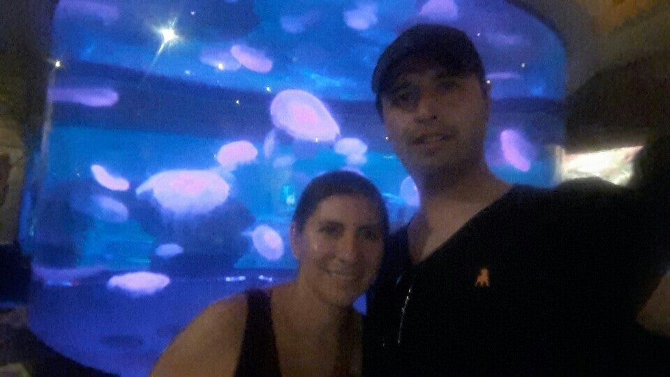 Photo of Shark Reef