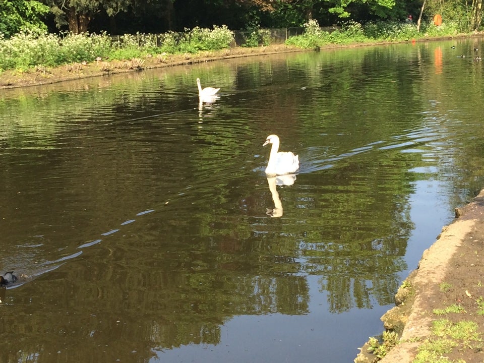 Photo of Chiswick House and Gardens