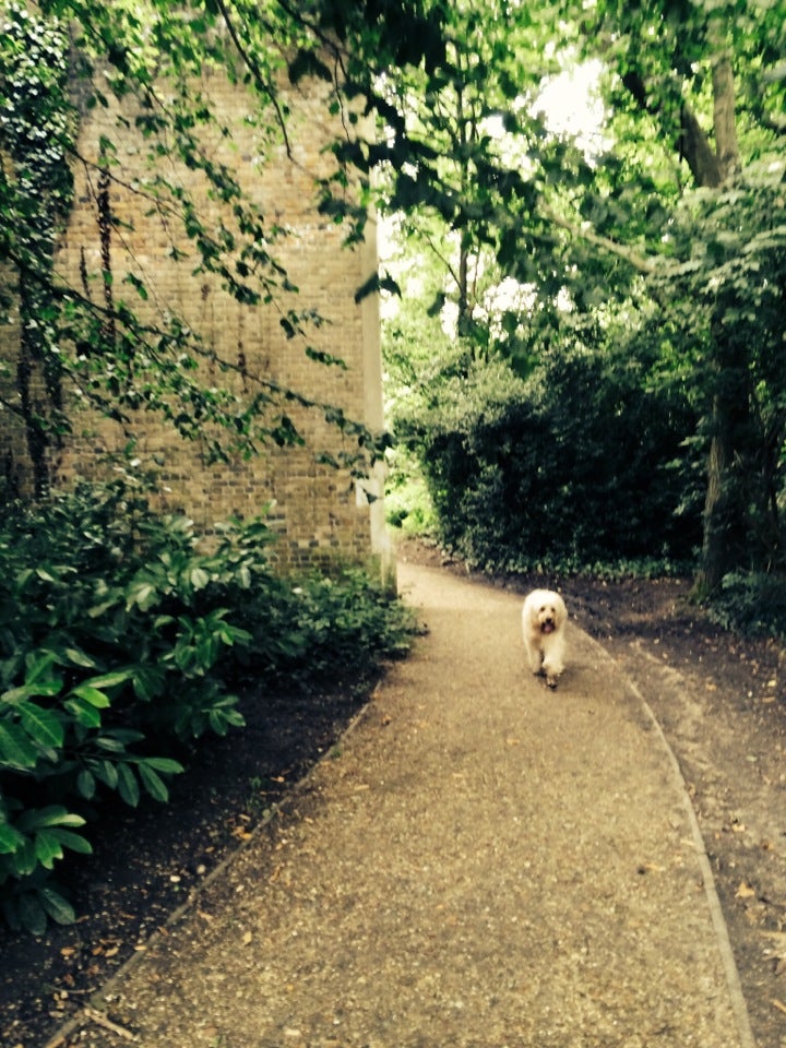 Photo of Chiswick House and Gardens