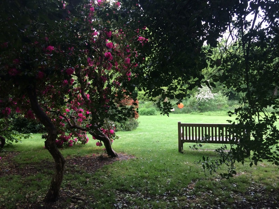 Photo of Chiswick House and Gardens