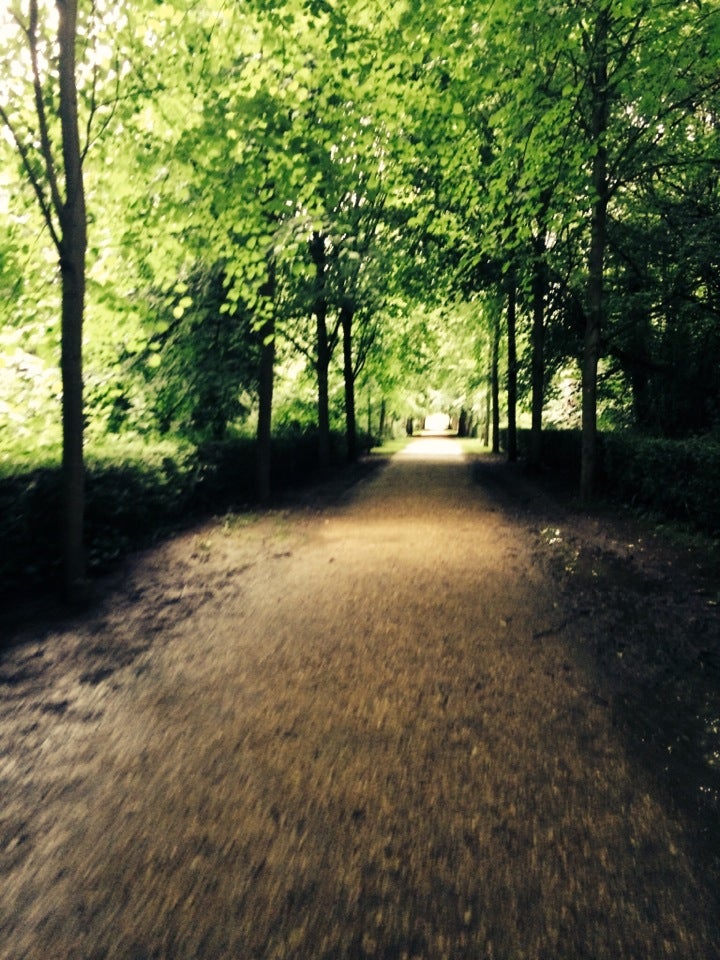 Photo of Chiswick House and Gardens