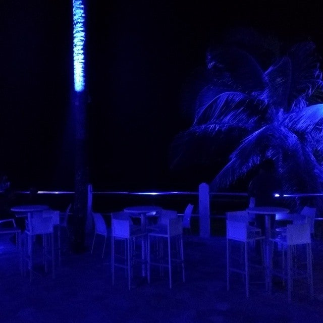 Photo of Atlantic Beach Hotel and Bar