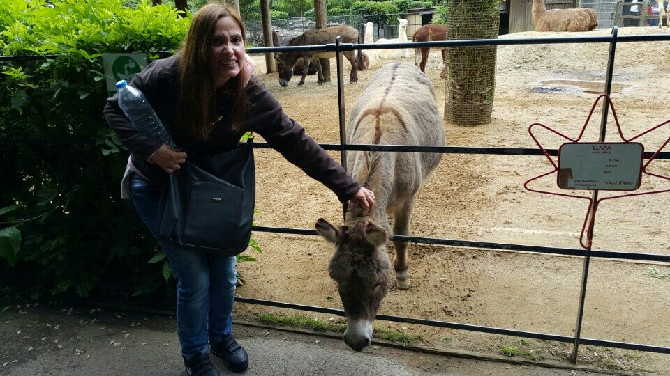 Photo of ZSL London Zoo