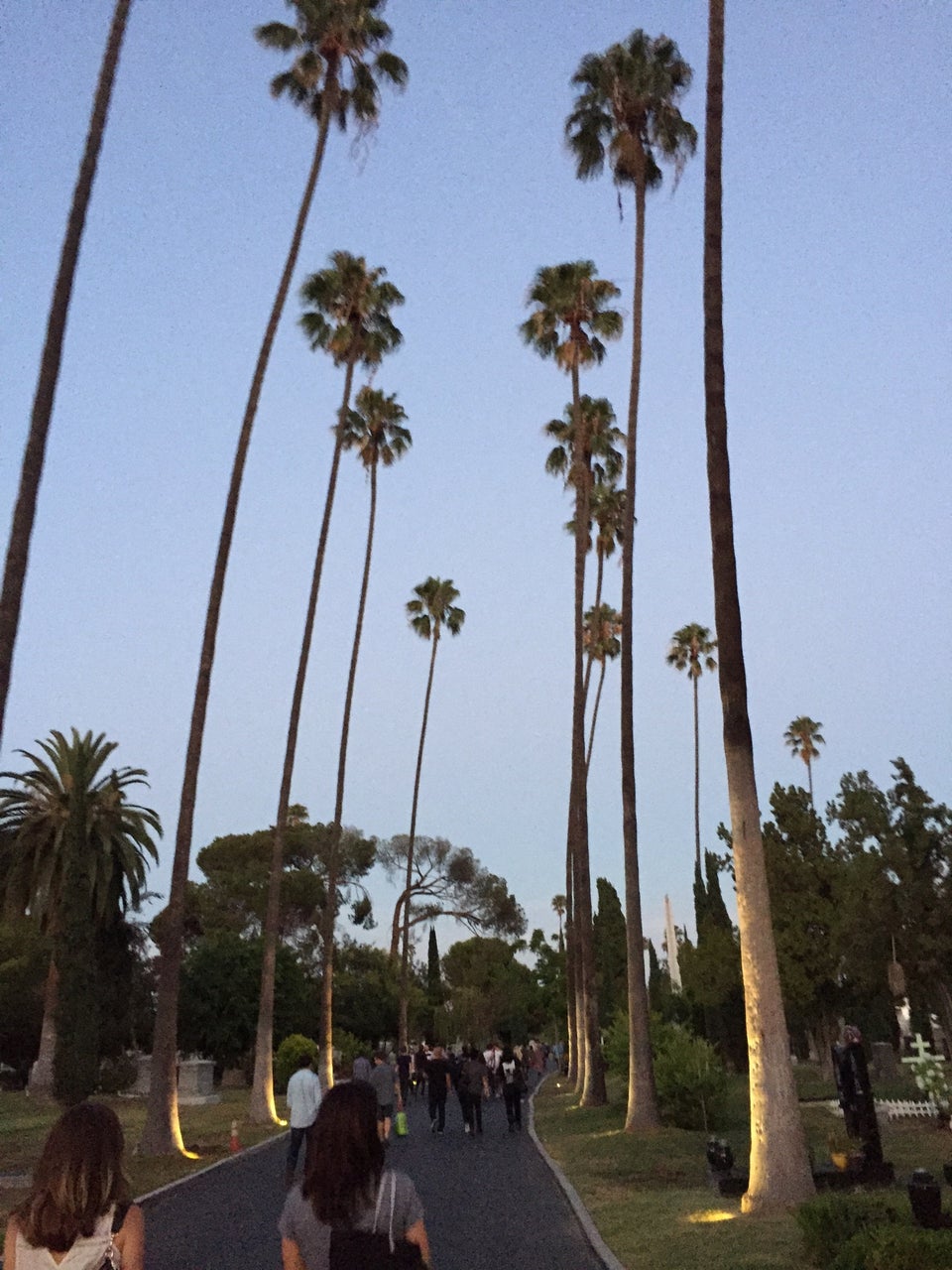 Photo of Hollywood Forever Cemetery