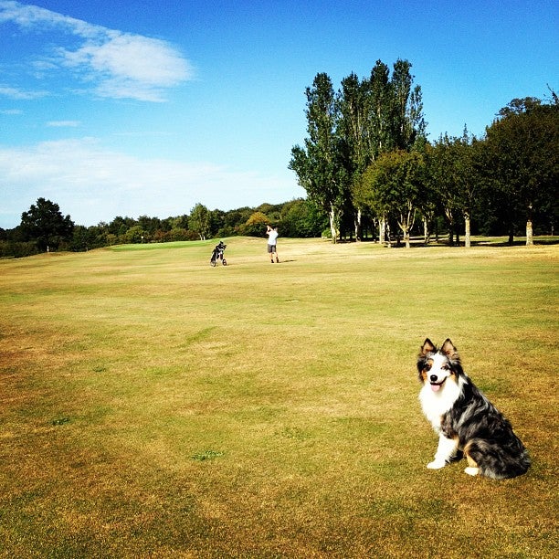 Golf De Cholet