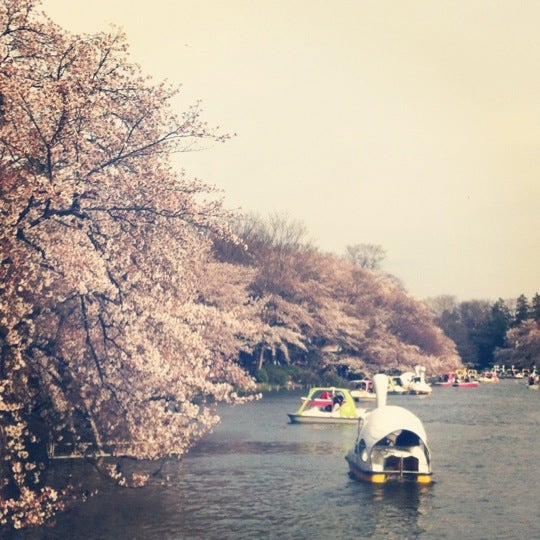 Inokashira Park