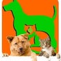 Clínica Veterinaria Centralvet :: 635 40 01 Clínica Veterinaria Centralvet :: 635 40 01