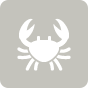 The Crab Trap The Crab Trap